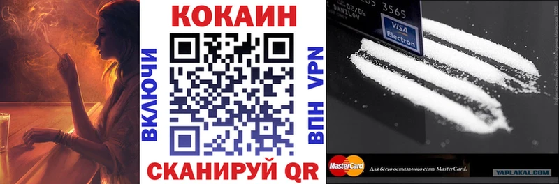 Купить где  Сальск  COCAIN Fish Scale 