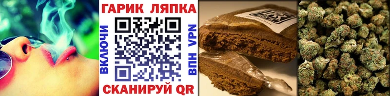 Купить где  Сальск  Гашиш Premium 