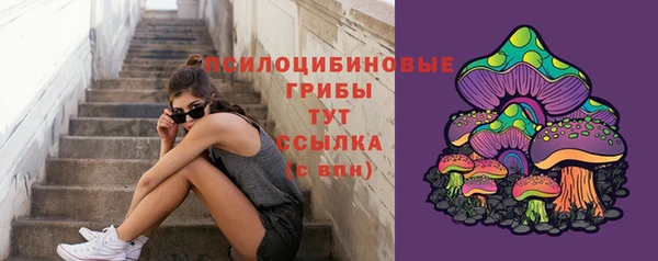ешки Елизово