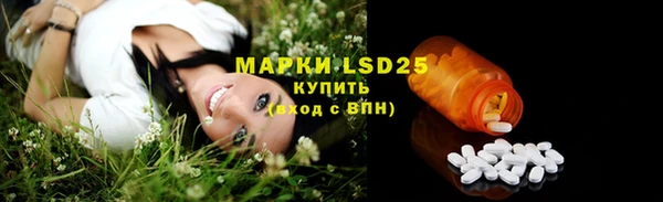 прущие крисы Елабуга
