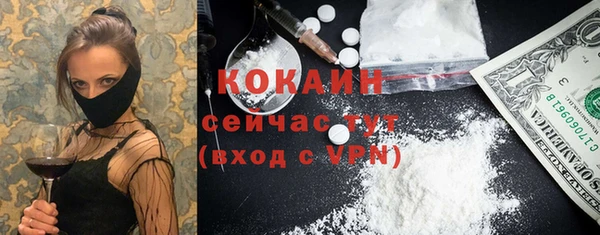 ешки Елизово
