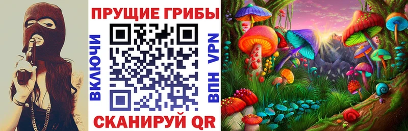 Купить закладки  Сальск  Галлюциногенные грибы Psilocybine cubensis 
